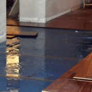 Can I Sue a New York Seller Who Concealed Water Damage, Mold, or Foundation Issues Can I Sue a New York Seller Who Concealed Water Damage, Mold, or Foundation Issues?