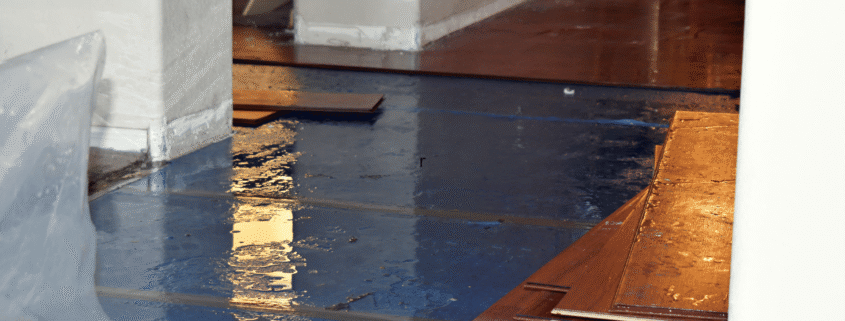 Can I Sue a New York Seller Who Concealed Water Damage, Mold, or Foundation Issues?